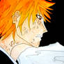 Bleach: Burning Resolve