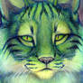 Green Cat