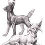Espeon and Umbreon