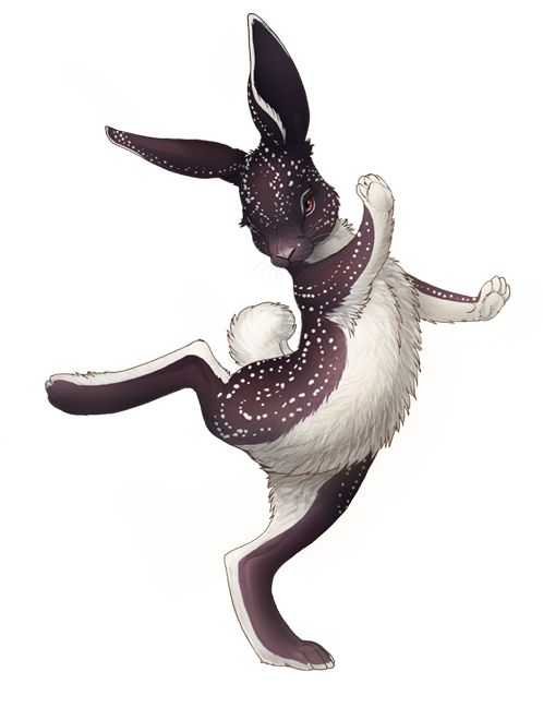 Nimble Bun is nimble by hibbary on DeviantArt