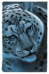 Snow Leopard