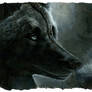 black wolf