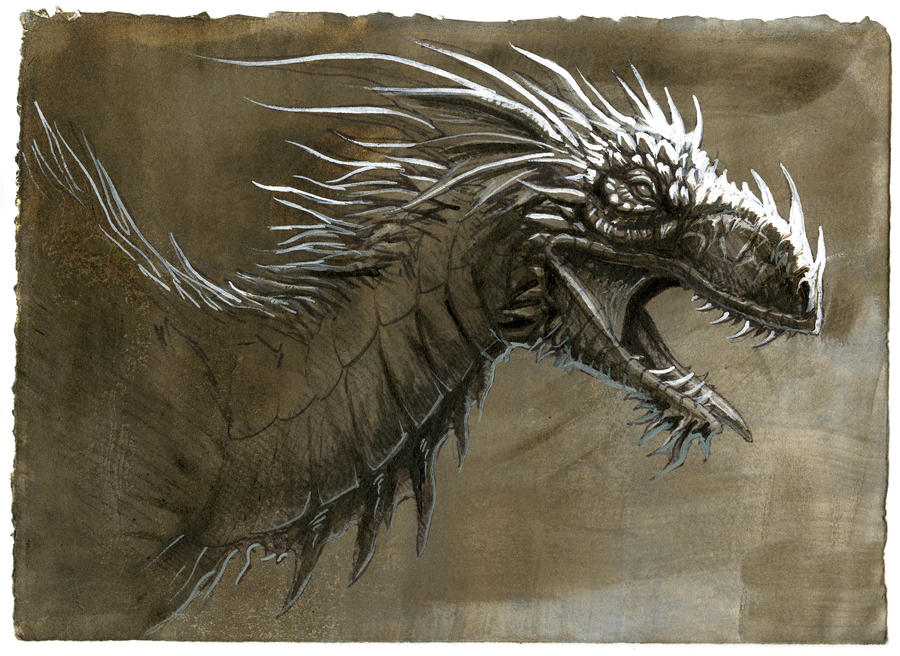 Dragon study