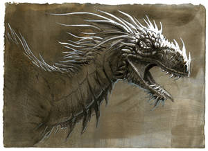 Dragon study