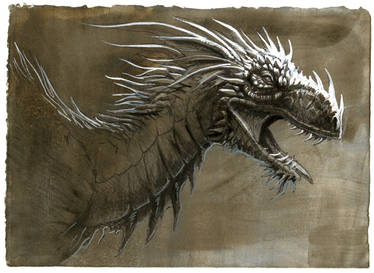 Dragon study