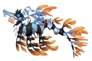 Leafy Sea Dragon
