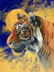 Tiger Sketchbook Cover