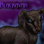 Blackavar