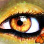 Butterfly Eyes