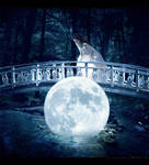 .moon bridge by masKade