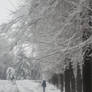 Walking in the snow