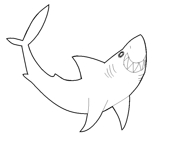 Shark lineart