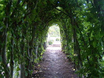 Green Tunnel 2