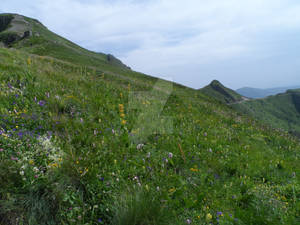 Col du Pas de Peyrol