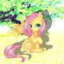 Fluttershy