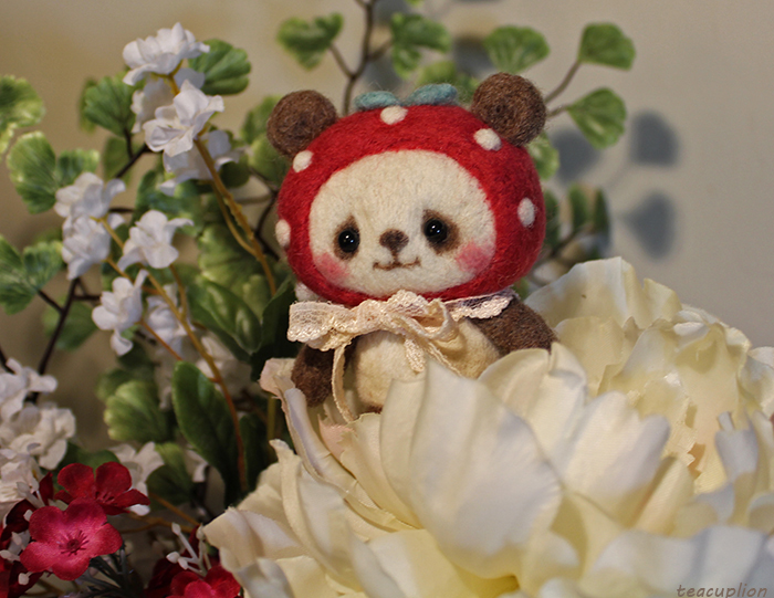 Strawberry Panda