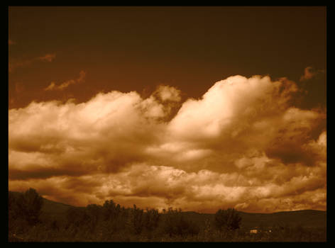 Fluffy Cloud Fellows