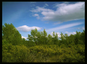 The Green of the Trees