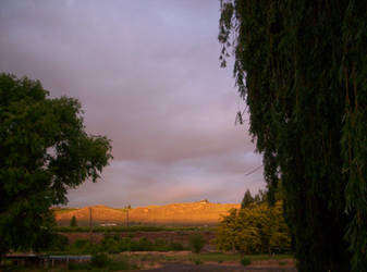 Daybreak On The Hillside