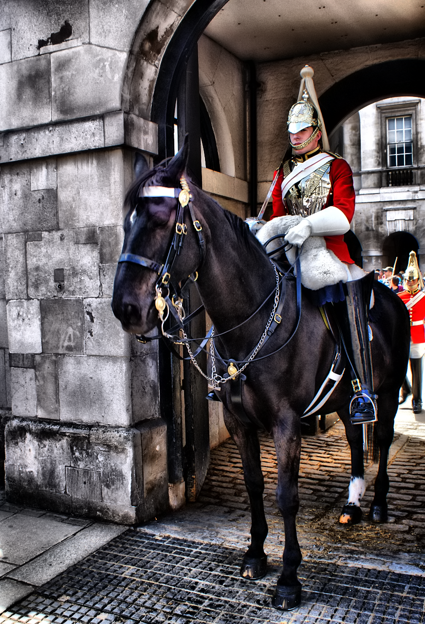 Royal Horse Guard