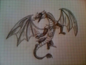 dragon