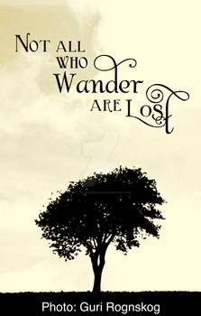 Not All Who Wander Are Lost