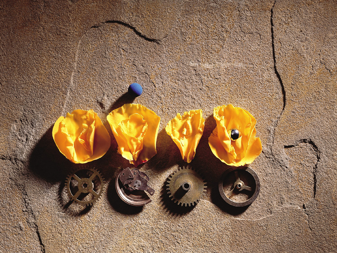 Searching for The Answer