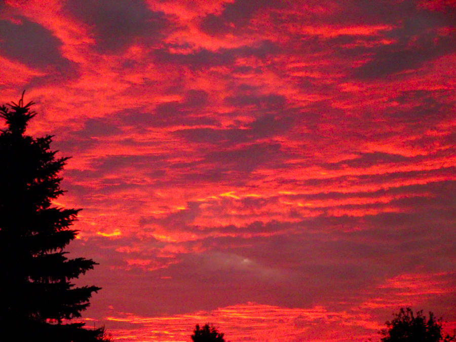 Rubescent Sunset Ruby Sunset by Exxotik-Kat on DeviantArt