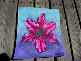 Stargazer Lily Water Colour