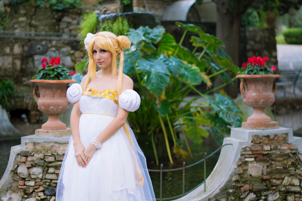 Princess Serenity | Sailor Moon [Aki]