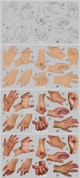 Hand study 2 - Steps