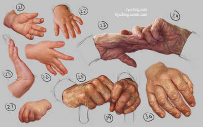 Hand Study 3 - Young and Old