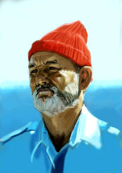 Bill Murray as Steve Zissou