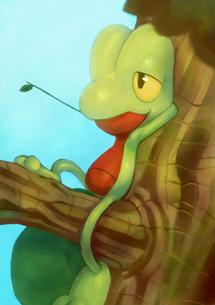 Treecko