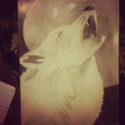 Wolf howling at the moon