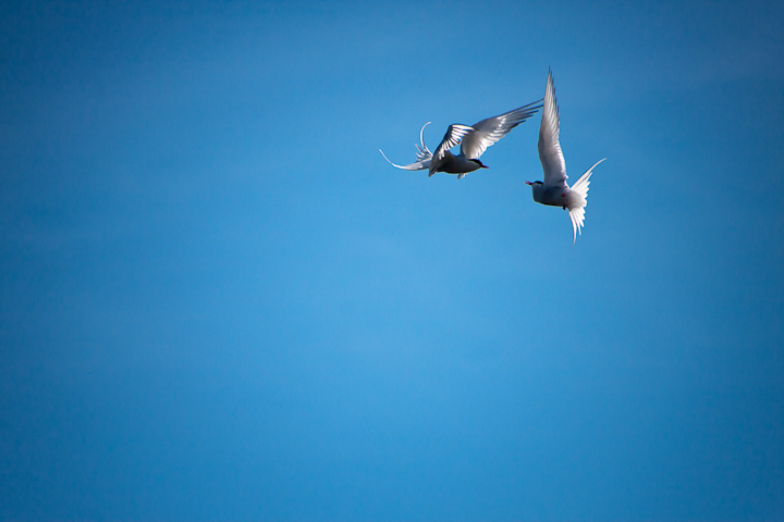 We met, and it was like flying by CAFxX