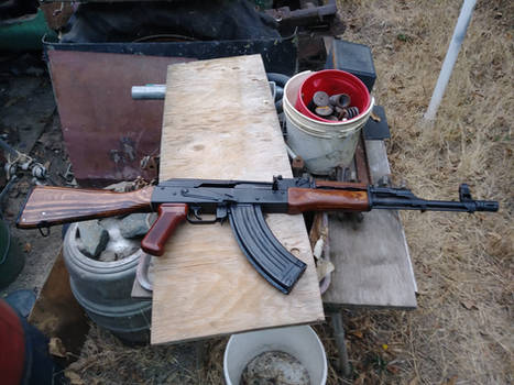 Romanian WASR-10 New Wood Furniture