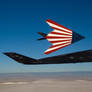 Lockheed F-117 Nighthawk - Patriot Underbelly