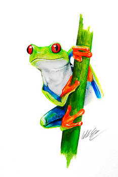 Watercolor Tree Frog