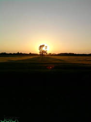 Summer Evening Sunset