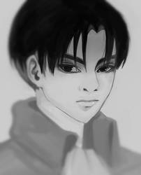 Levi