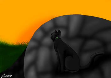 Hollyleaf