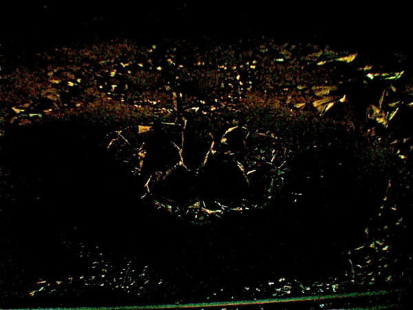 Universal Message by whatwouldyoudo on DeviantArt