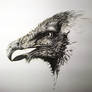 Bearded vulture wip - 2