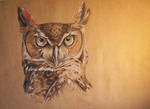 Great horned owl 3 by Concini