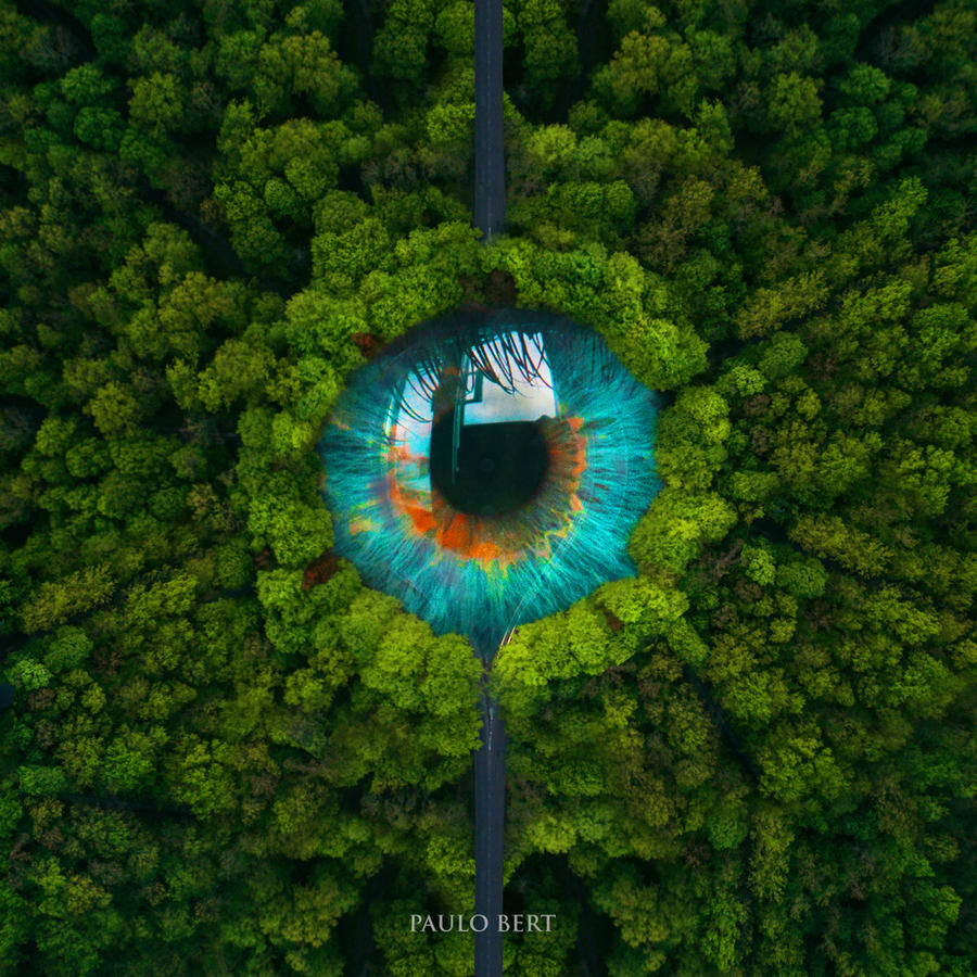 Eyes Of Nature