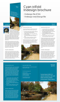 Cyan Trifold Indesign Brochure