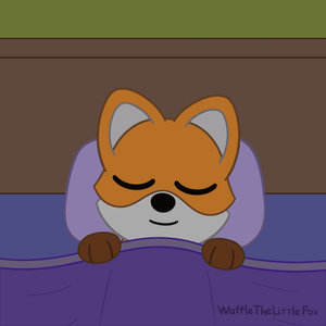 Good night (Animation #12)