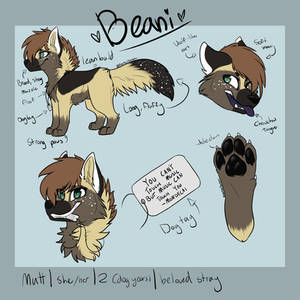 Beani Ref (fursona)