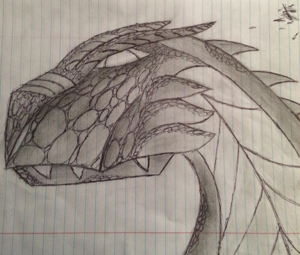 Dragon drawing